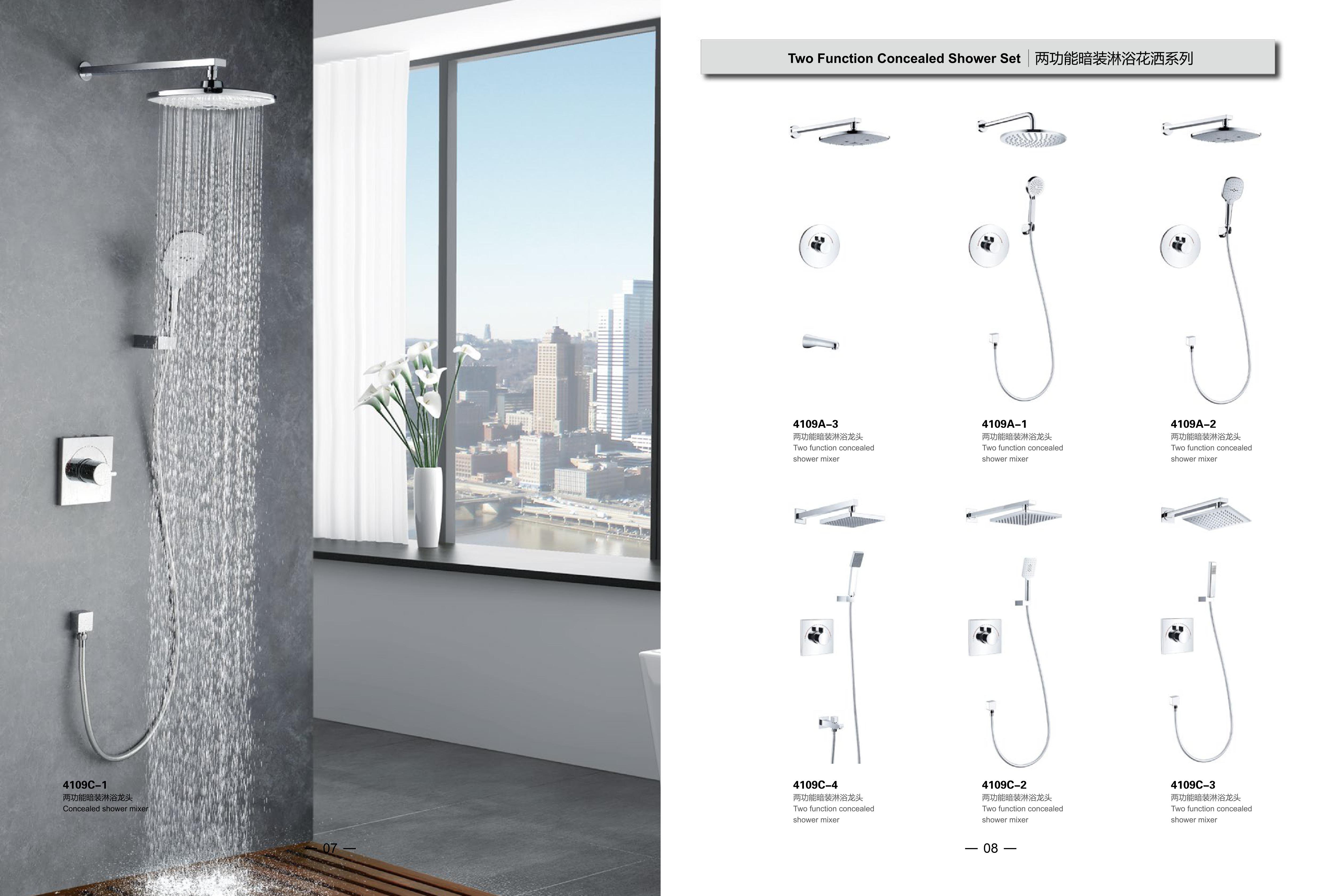 Two Function Concealed Shower Set