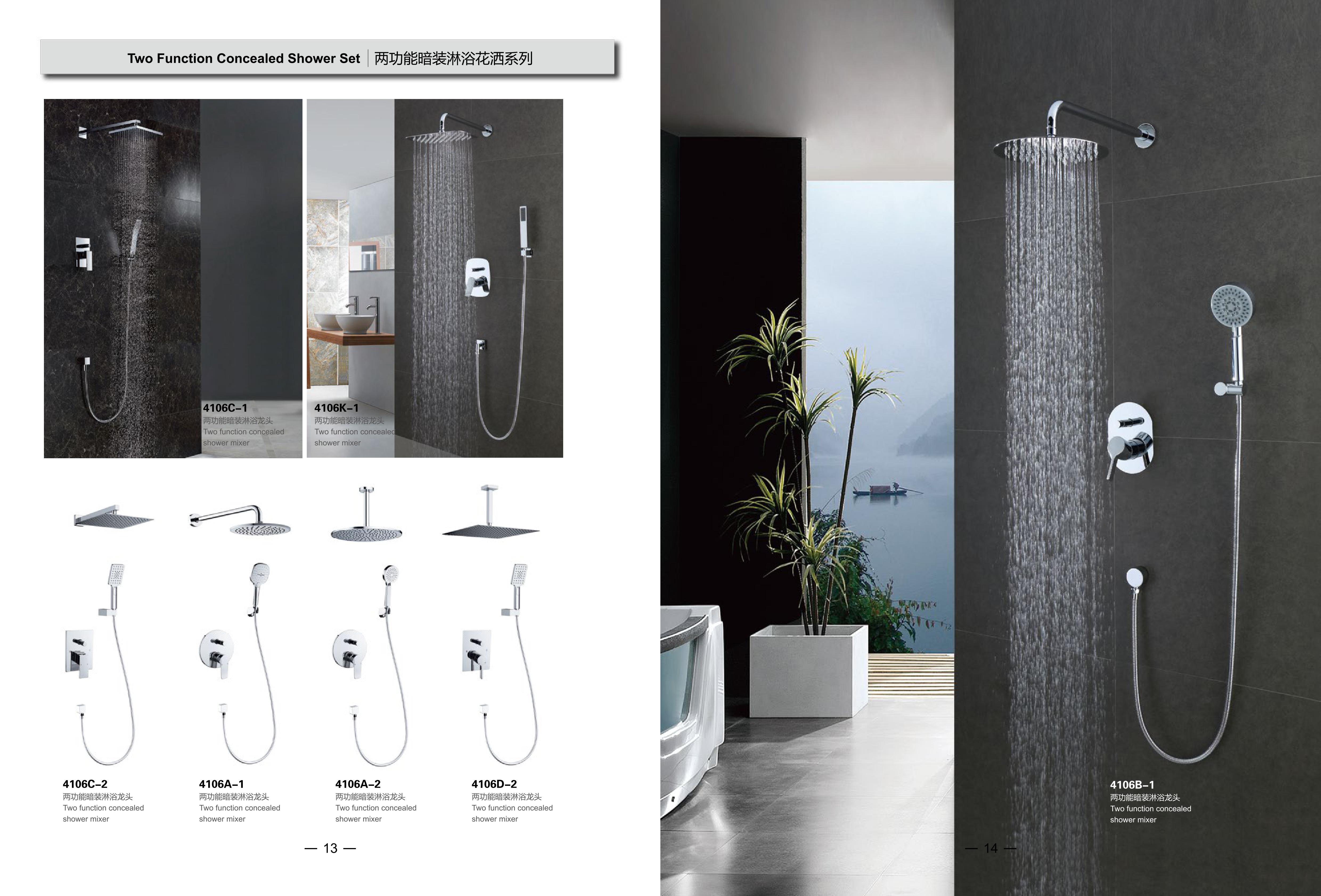 Two Function Concealed Shower Set